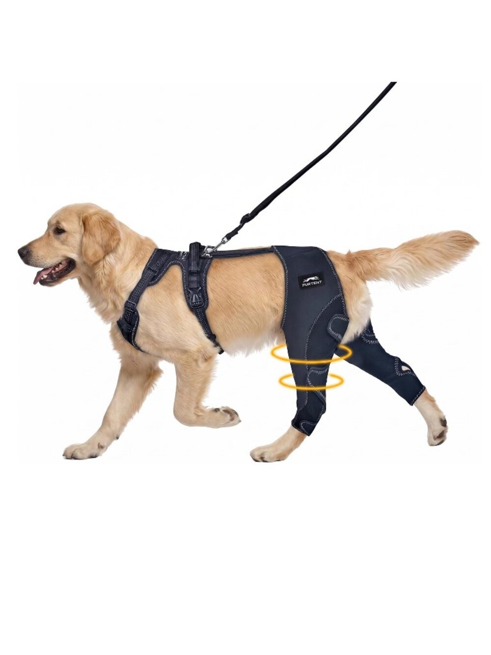 Furtent Large Dog Knee Brace for Back Leg, Adjustable ACL CCL Patella Support